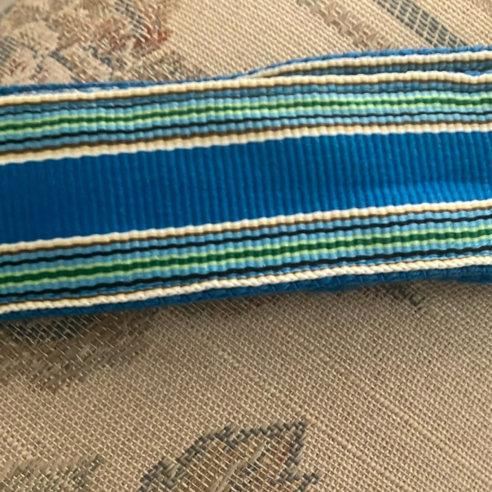 Ladies web style belt 12